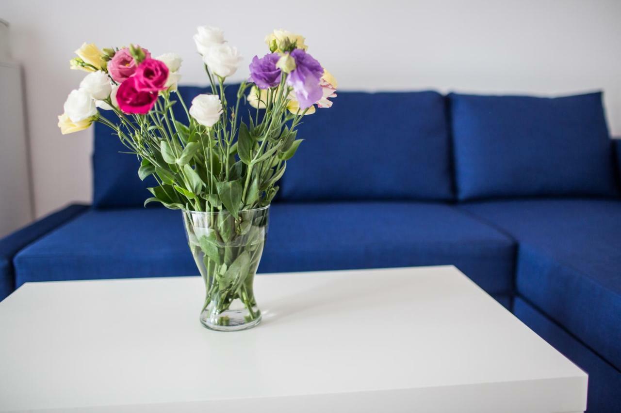 Apartament Pod Winogronami Krakkó Kültér fotó